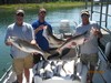 (07/16/2016) - Nice Striped Bass